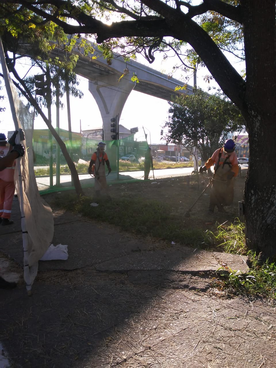 Dois funcionários cortando grama com roçadeira; ao redor, quatro funcionários seguram tela de proteção.